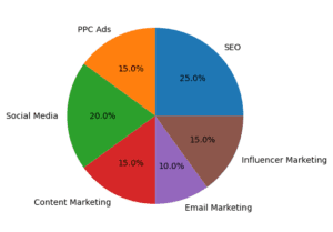digital marketing strategy for beginners infographic 