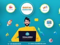 digital marketing company visual birds studio